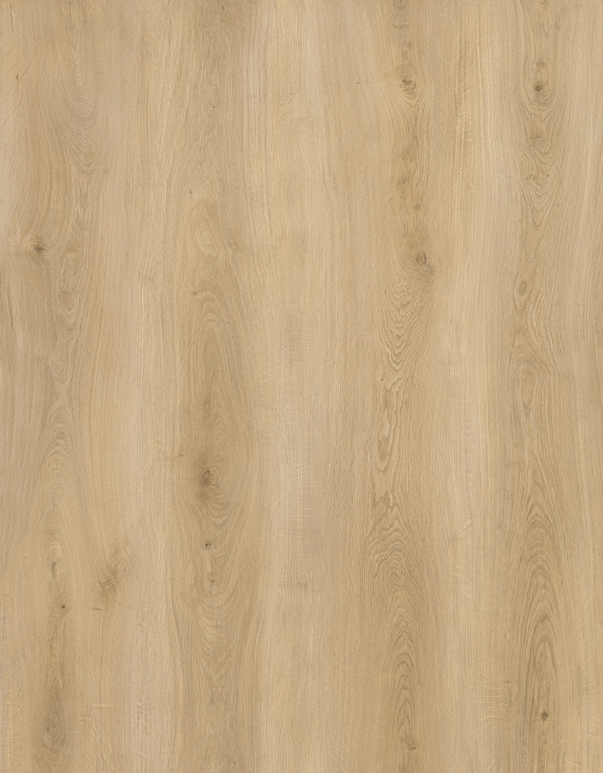 Vizion Marvelous 5 Robson 5mm Loose Lay Vinyl Plank - Robson