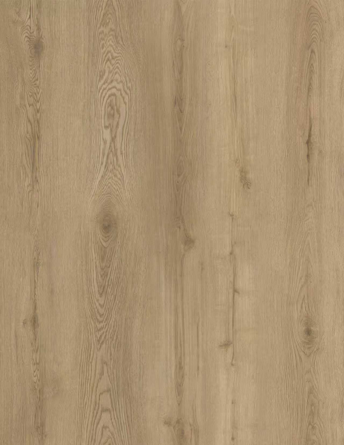 Vizion Marvelous 5 Arbutus 5mm Loose Lay Vinyl Plank - Arbutus