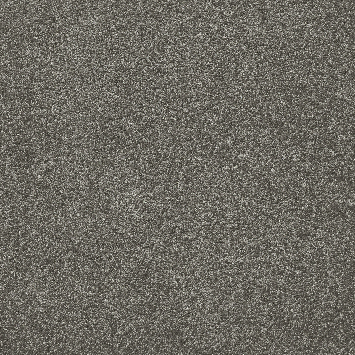 Centura Barbados 30 Westwood carpet swatch