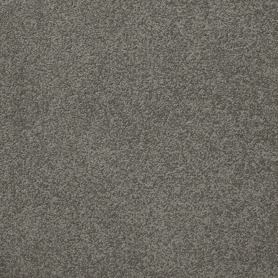 Centura Barbados 35 Westwood Carpet