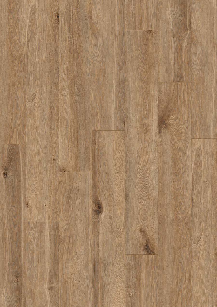 Dreamfloor Prague #6774 Laminate Flooring
