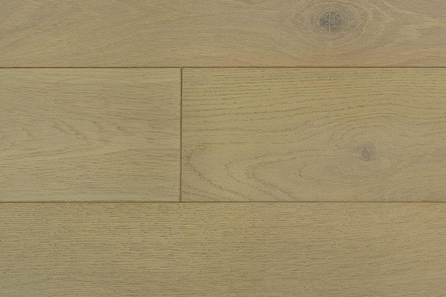 Wellington Heights Chelsey