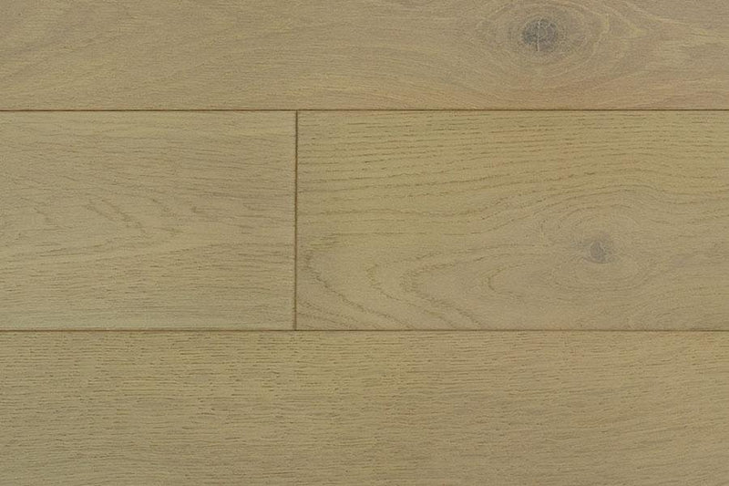 Wellington Heights Chelsey