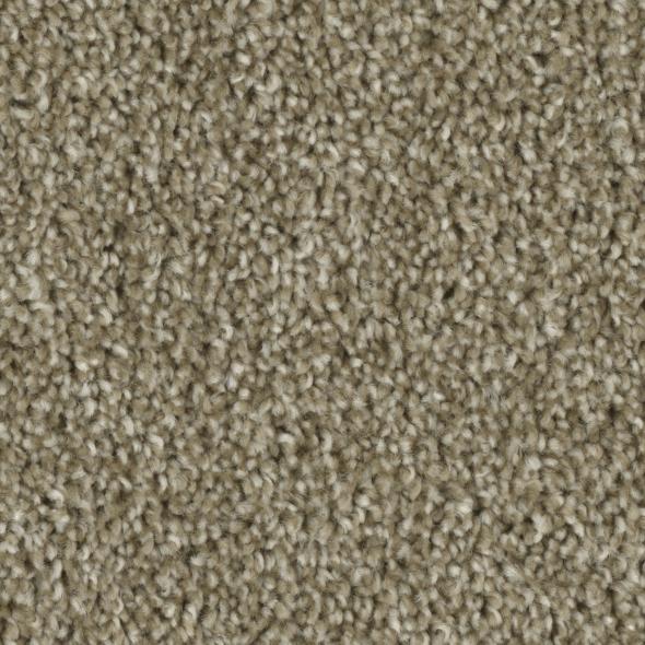 Tempt Carpet Series - Phenix Carpet 42oz
