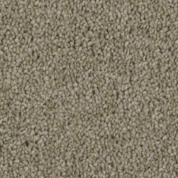 Tempt Carpet Series - Phenix Carpet 42oz