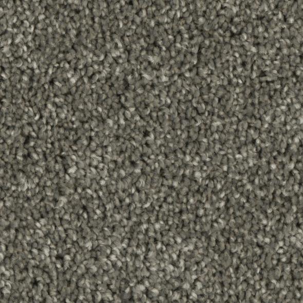 Tempt Carpet Series - Phenix Carpet 42oz