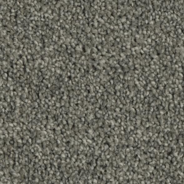 Tempt Carpet Series - Phenix Carpet 42oz