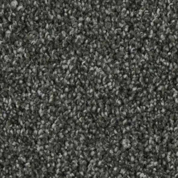 Tempt Carpet Series - Phenix Carpet 42oz