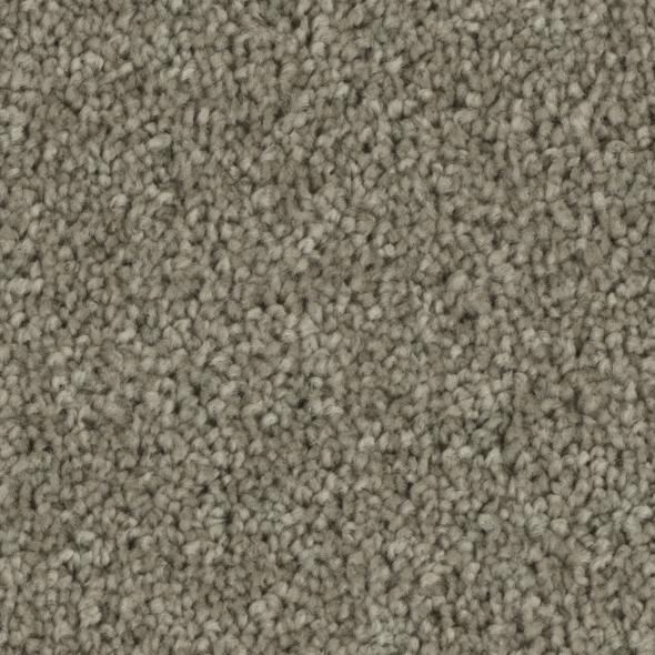 Tempt Carpet Series - Phenix Carpet 42oz