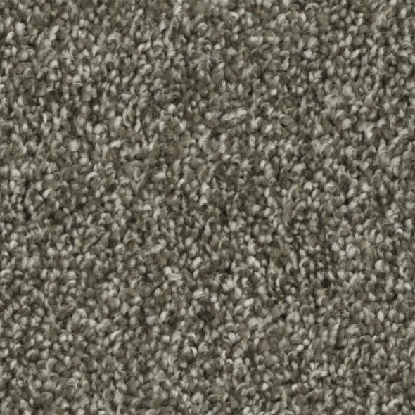 Tempt Carpet Series - Phenix Carpet 42oz