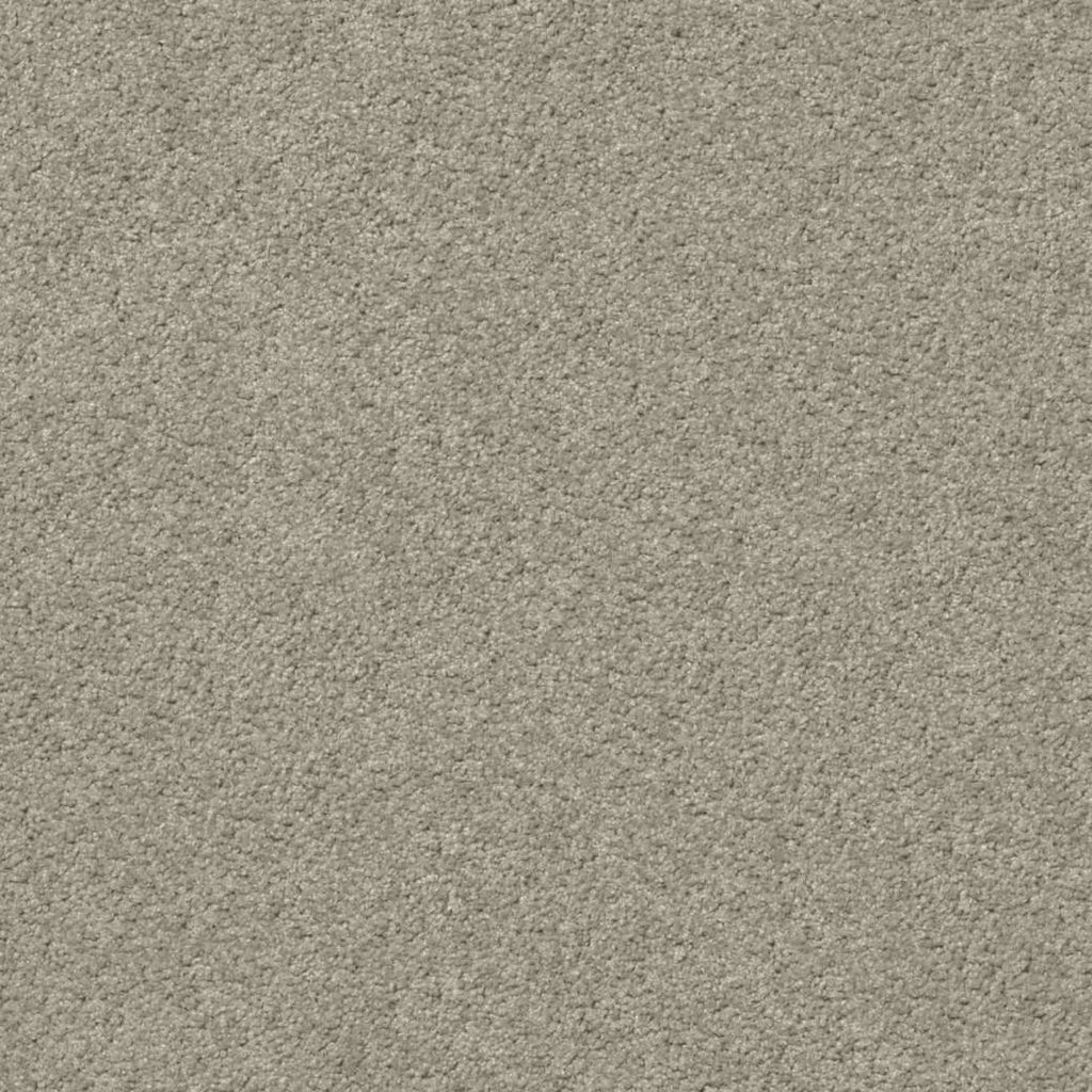 Momentum Carpet Series