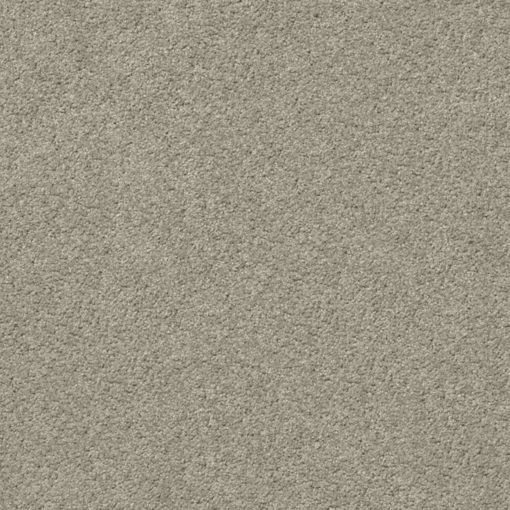 Momentum Carpet Series