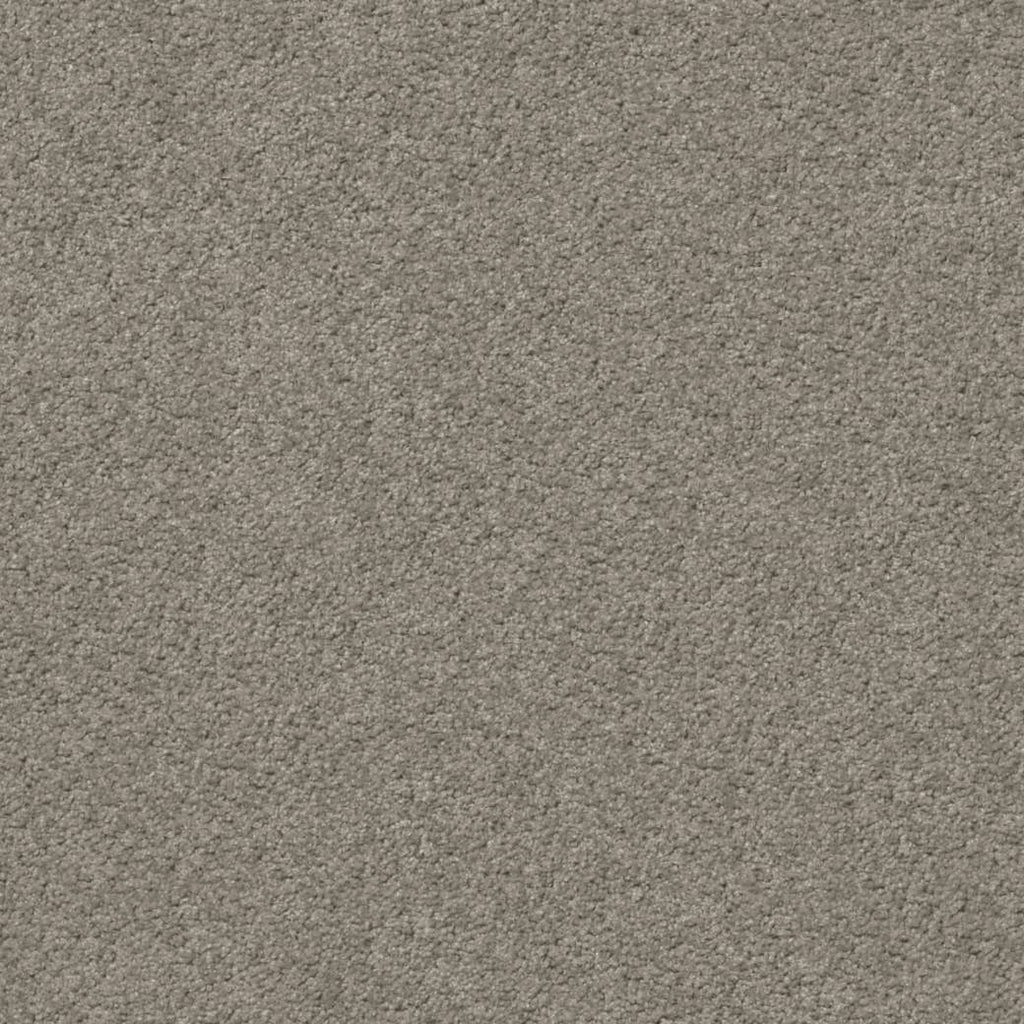 Momentum Carpet Series