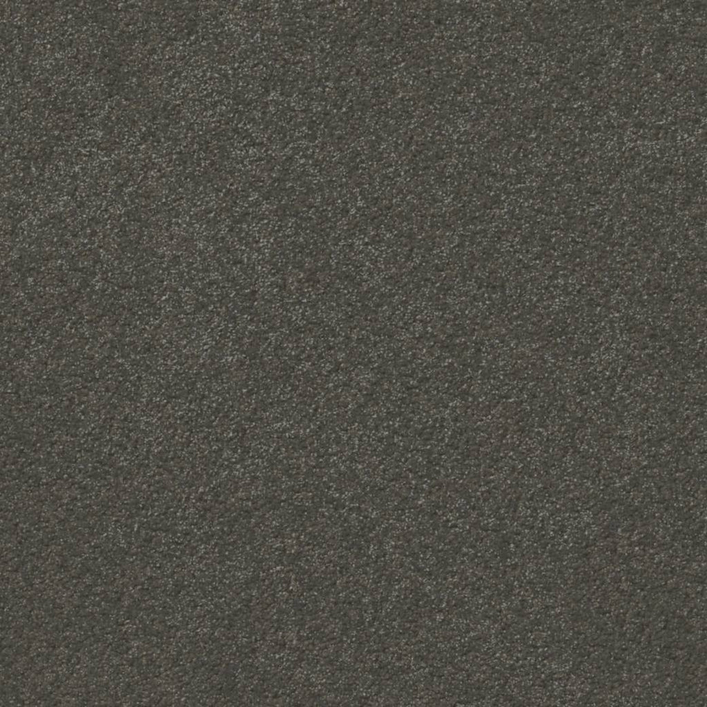 Momentum Carpet Series