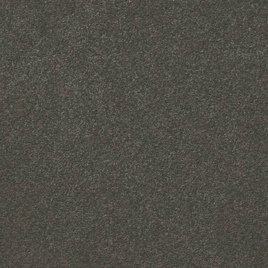 Momentum Carpet Series