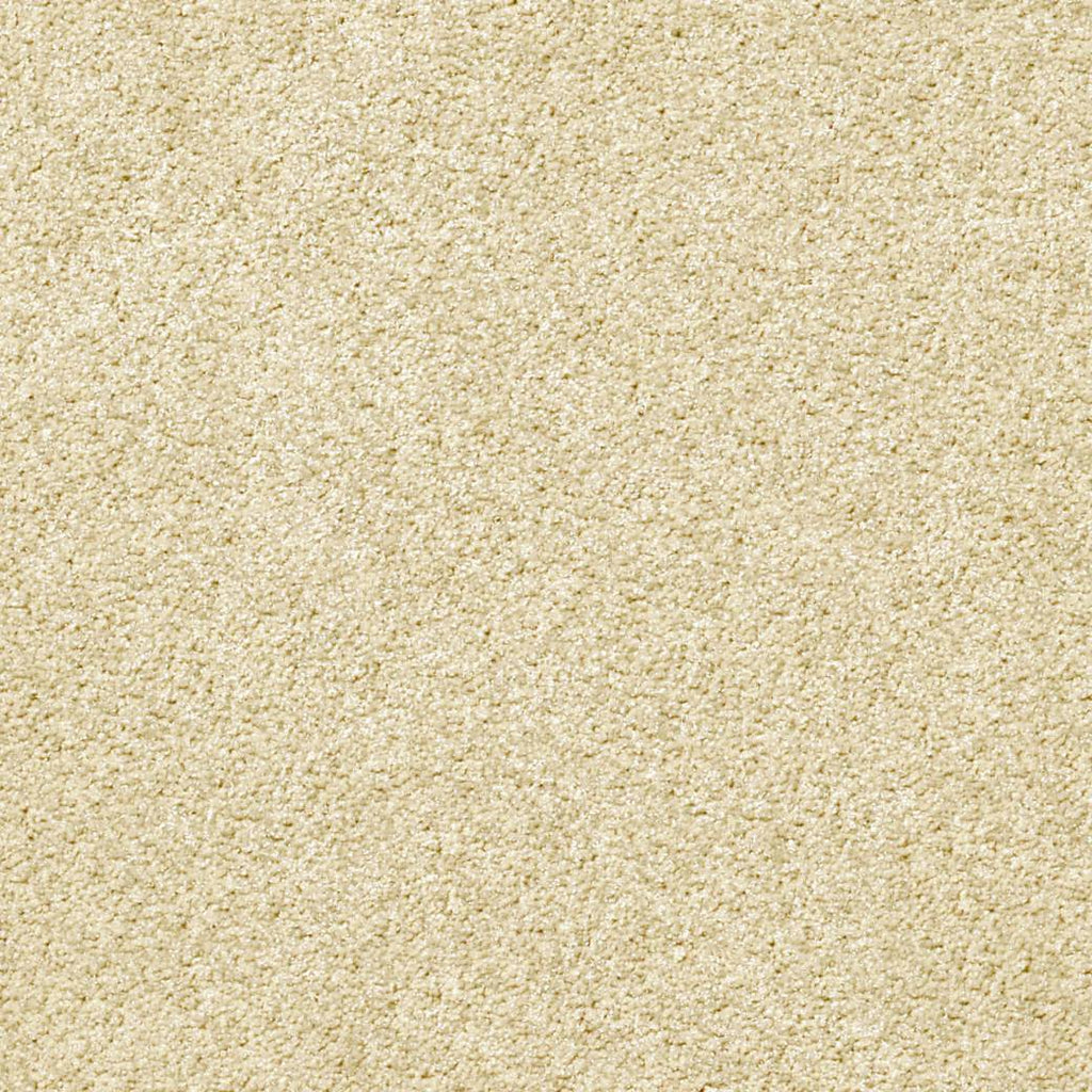 Momentum Carpet Series