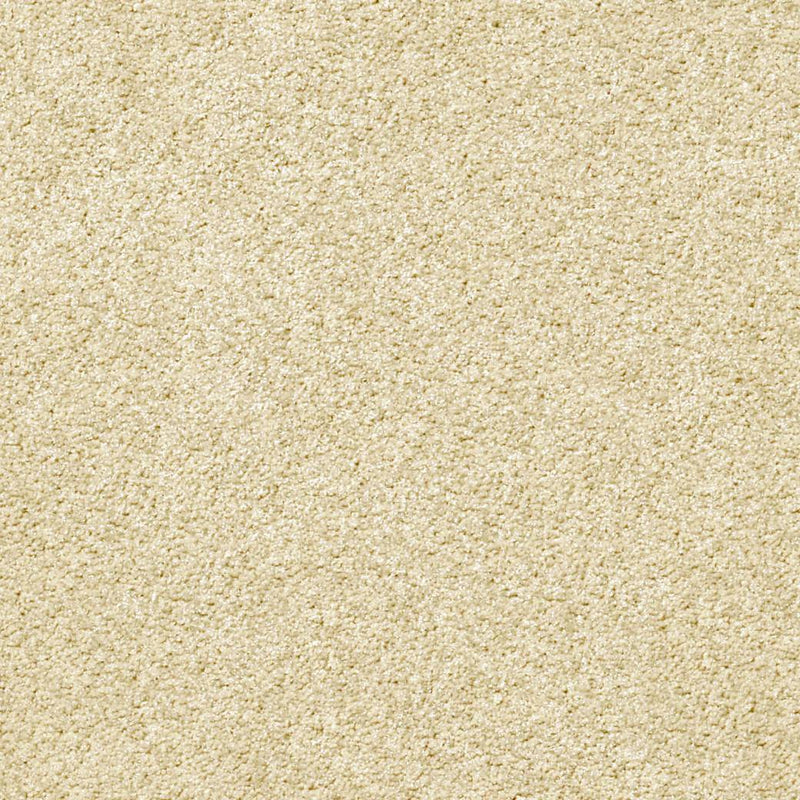 Momentum Carpet Series