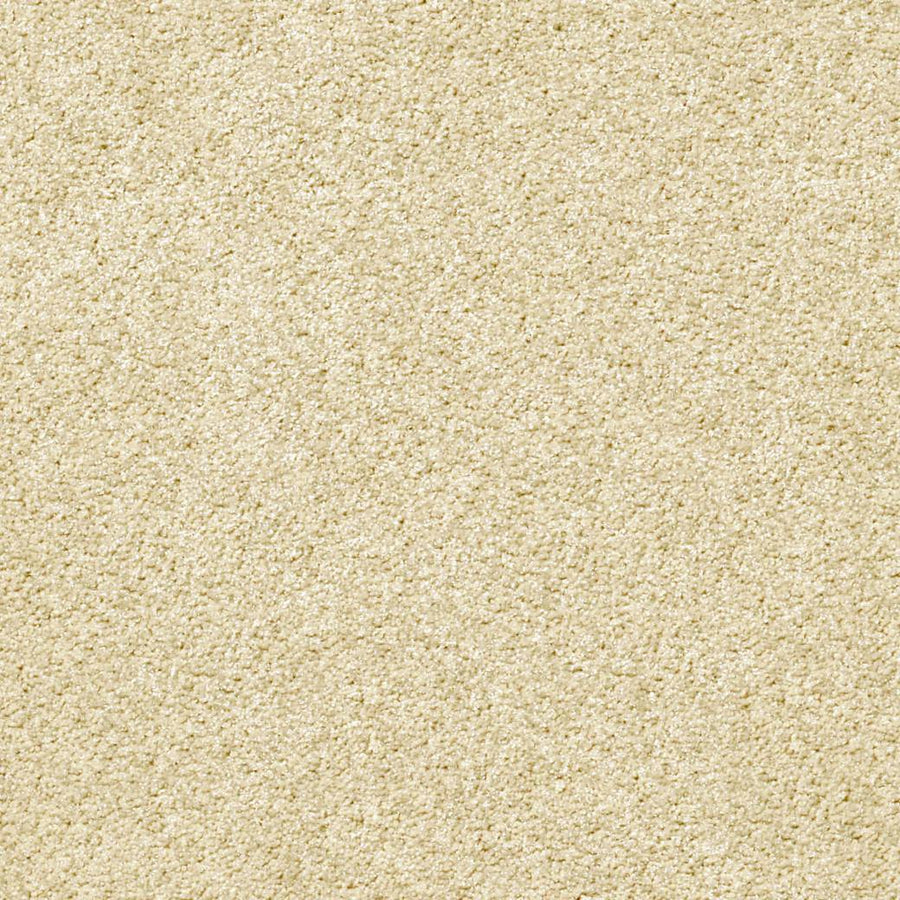 Momentum Carpet Series