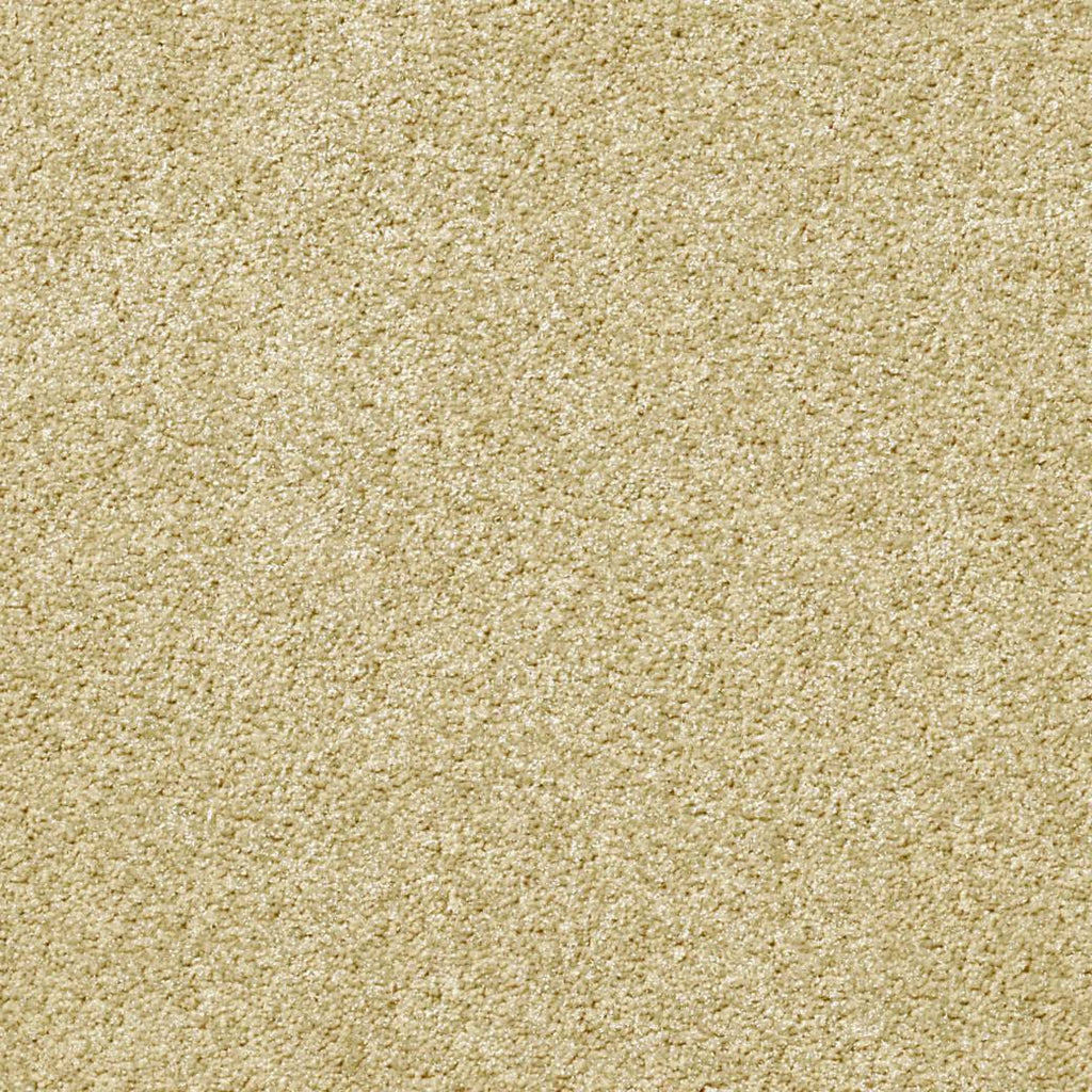 Momentum Carpet Series