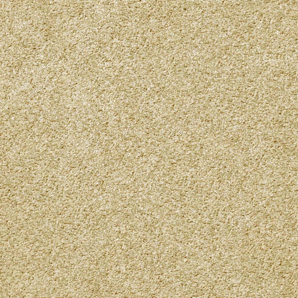 Momentum Carpet Series