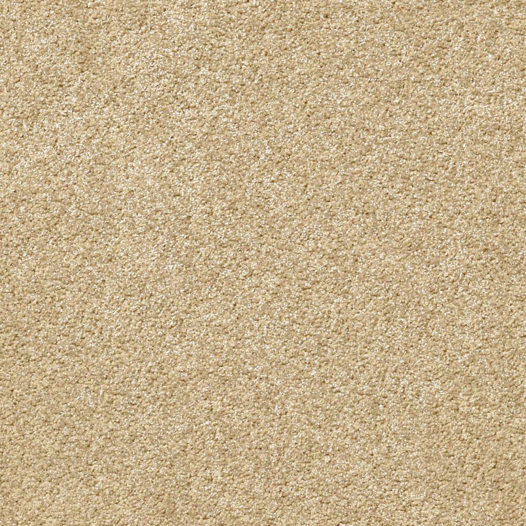 Momentum Carpet Series