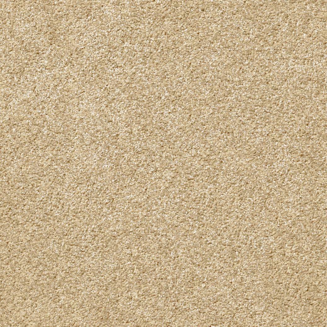 Momentum Carpet Series