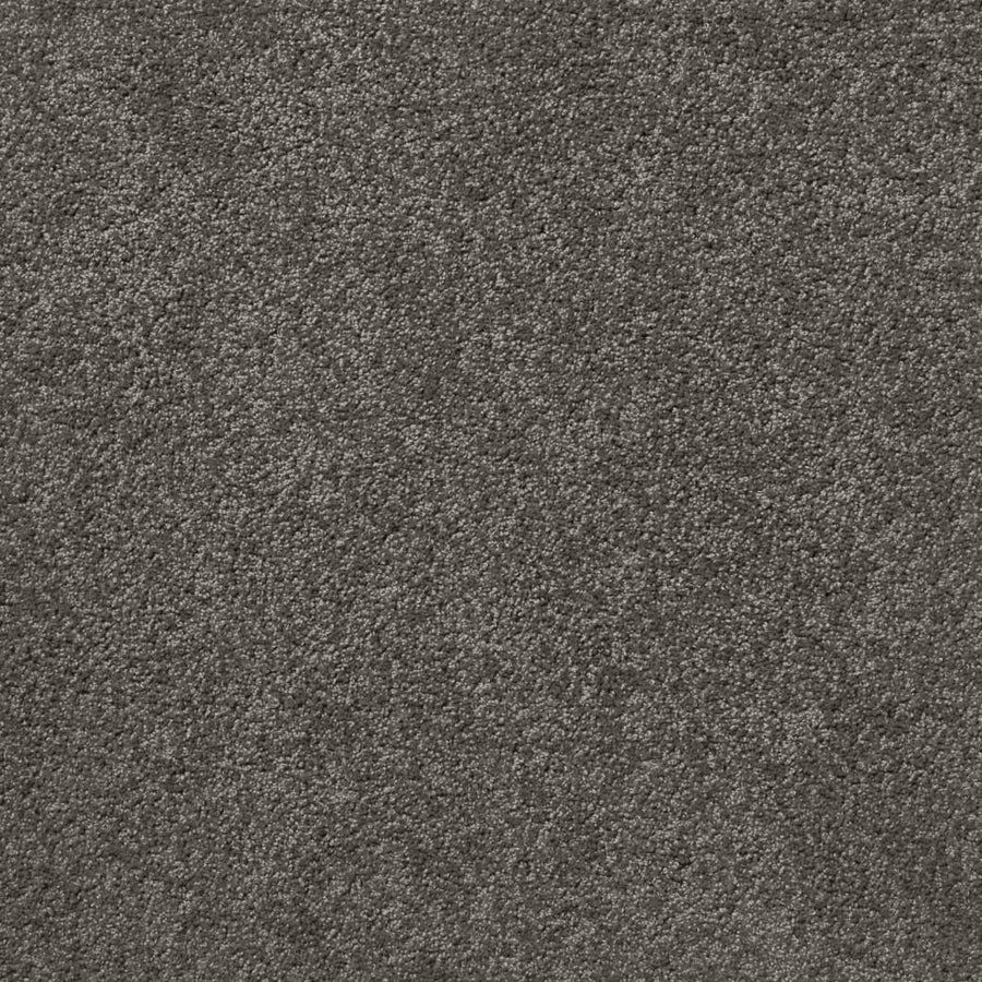 Posh Carpet Series