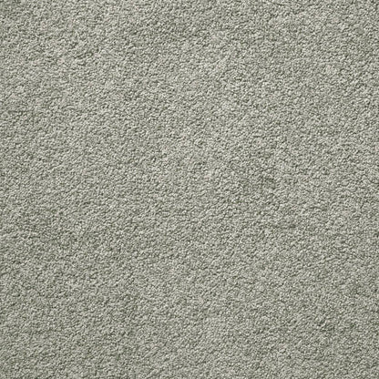 Posh Carpet Series