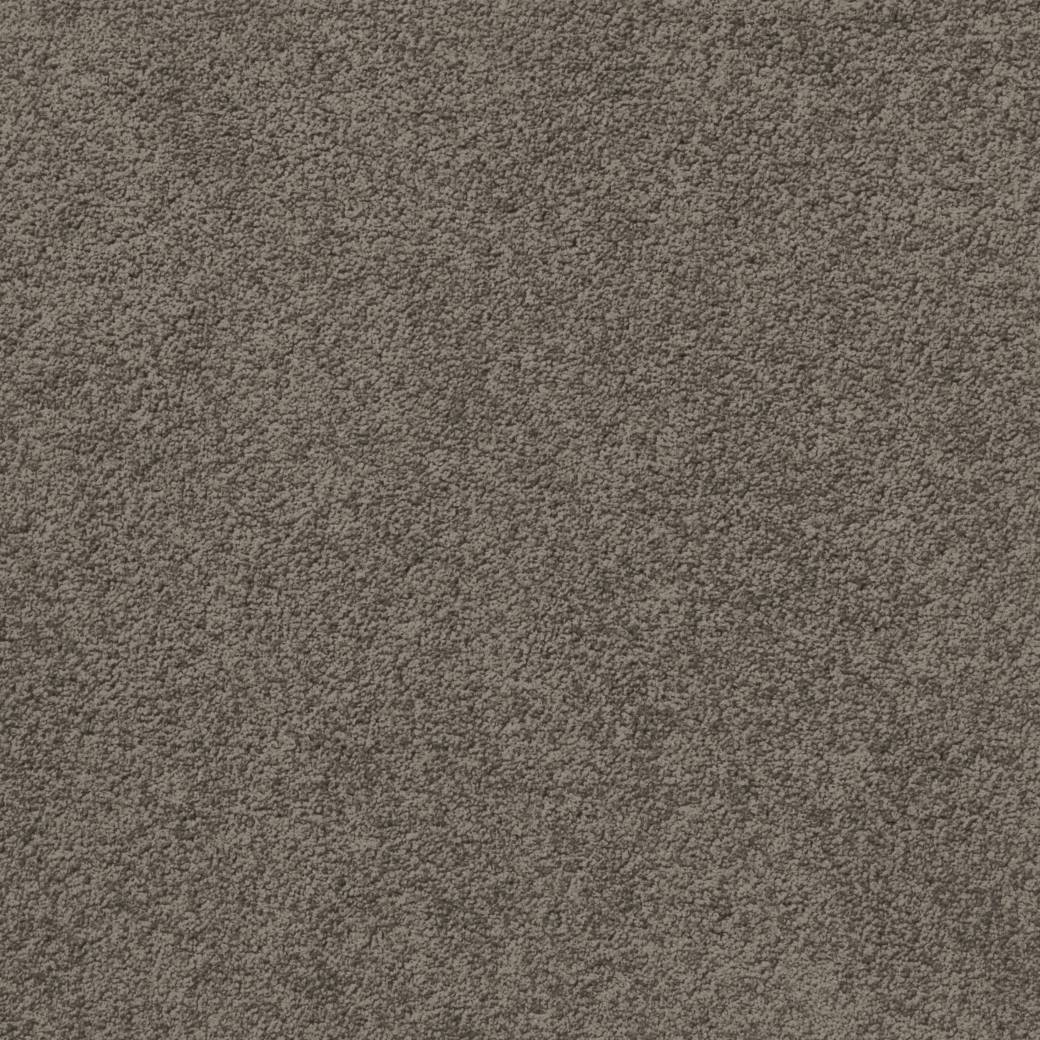 Posh Carpet Series