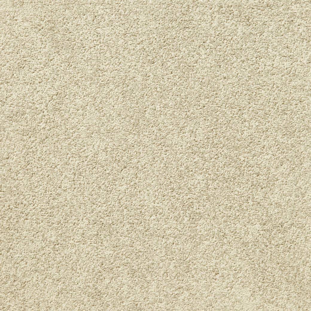 Posh Carpet Series