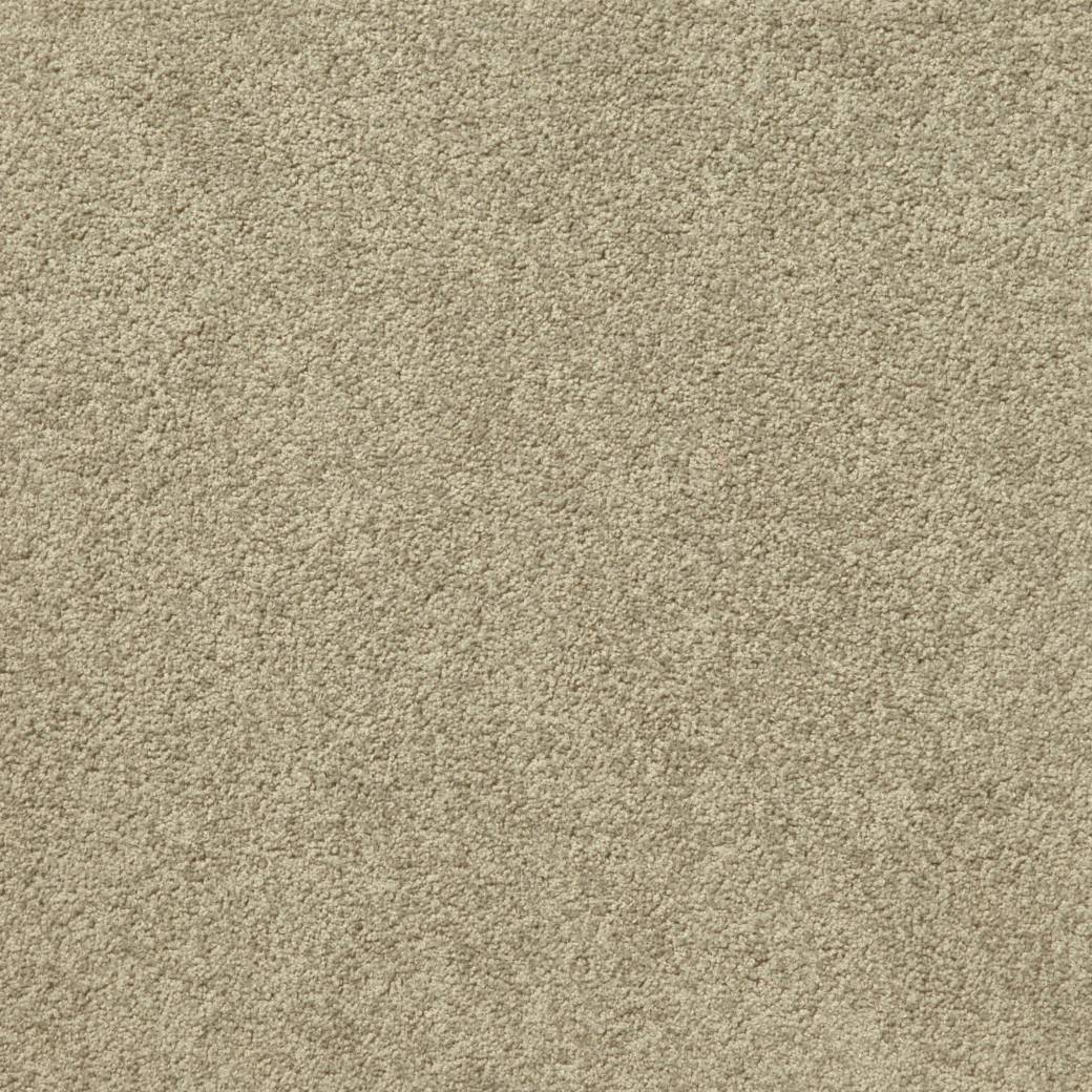 Posh Carpet Series