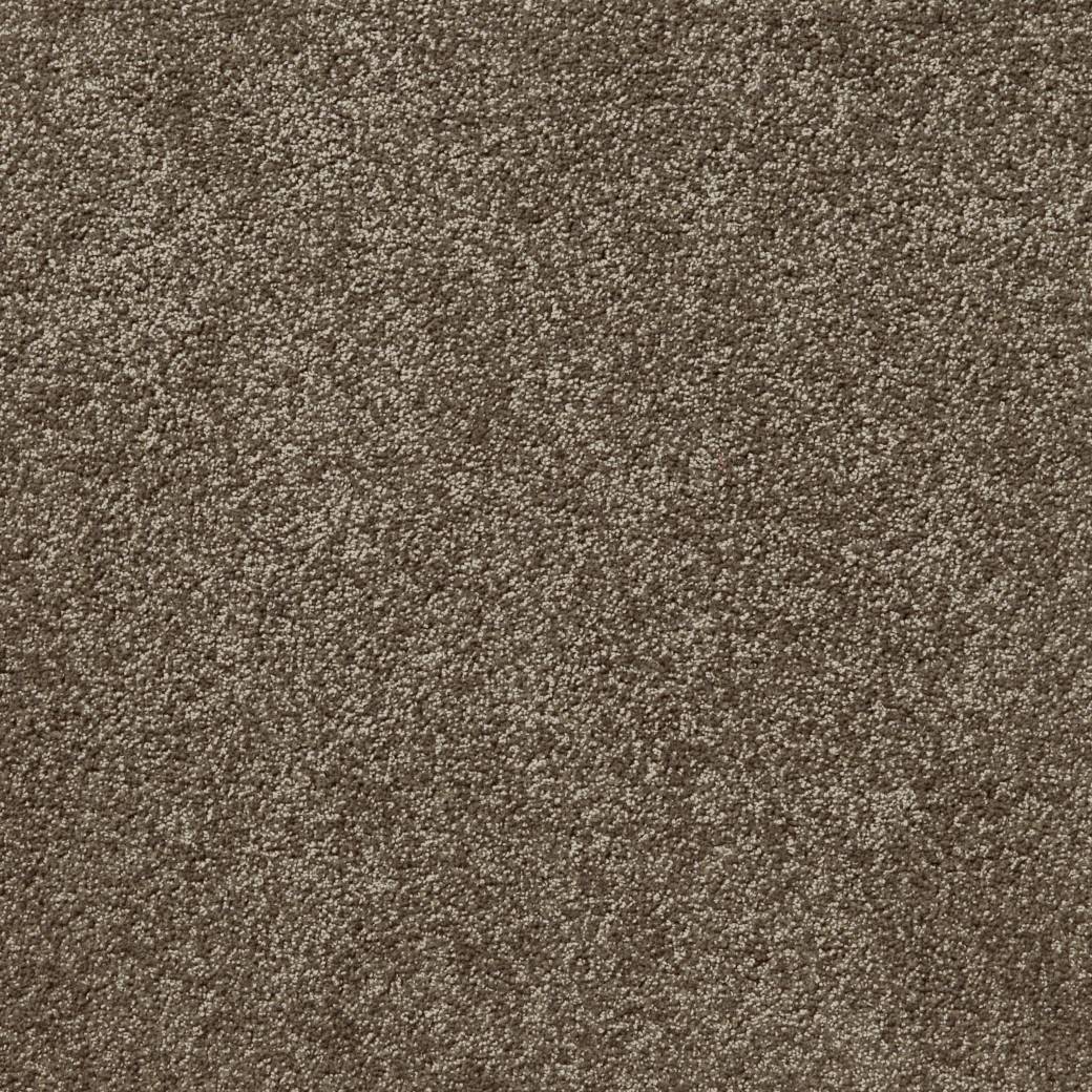 Posh Carpet Series
