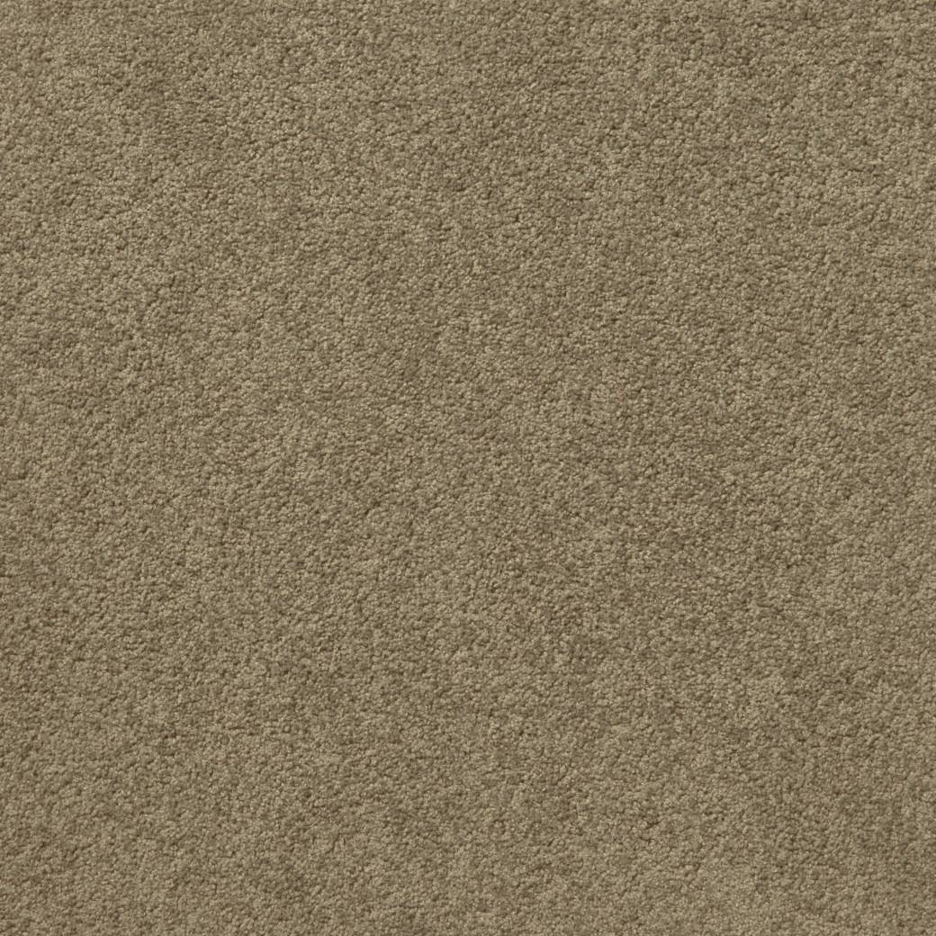 Posh Carpet Series