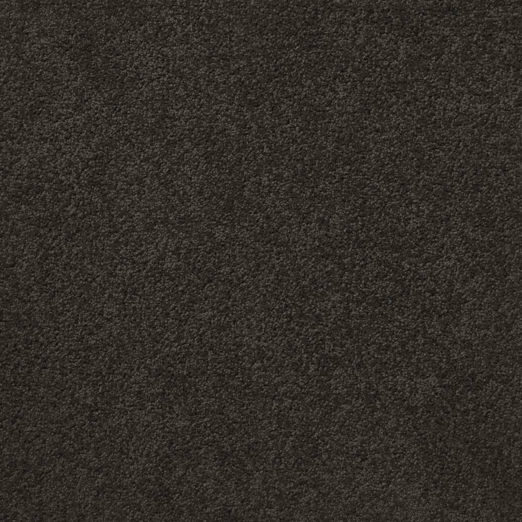Posh Carpet Series