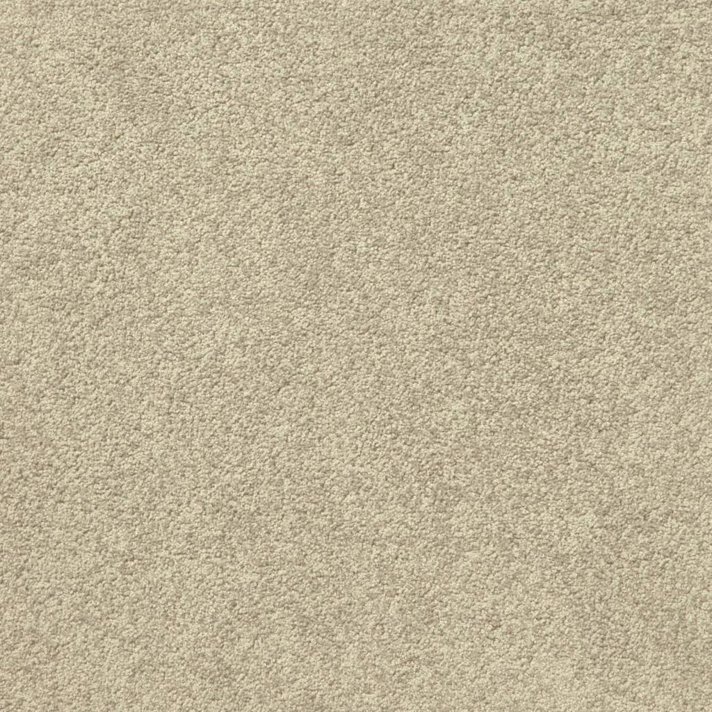 Triathlon Carpet Series