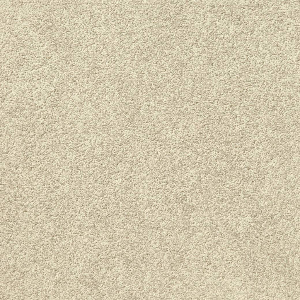 Triathlon Carpet Series